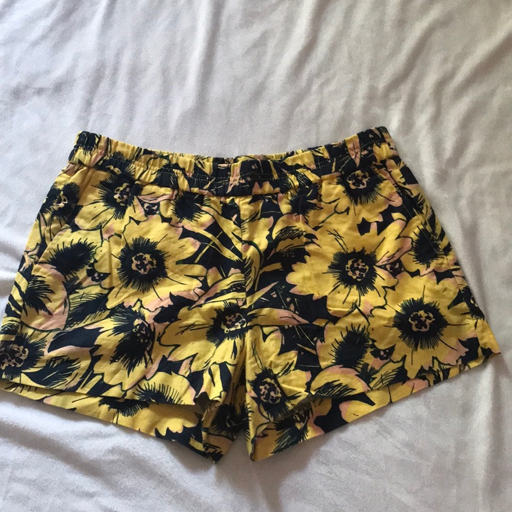 J. Crew Shorts